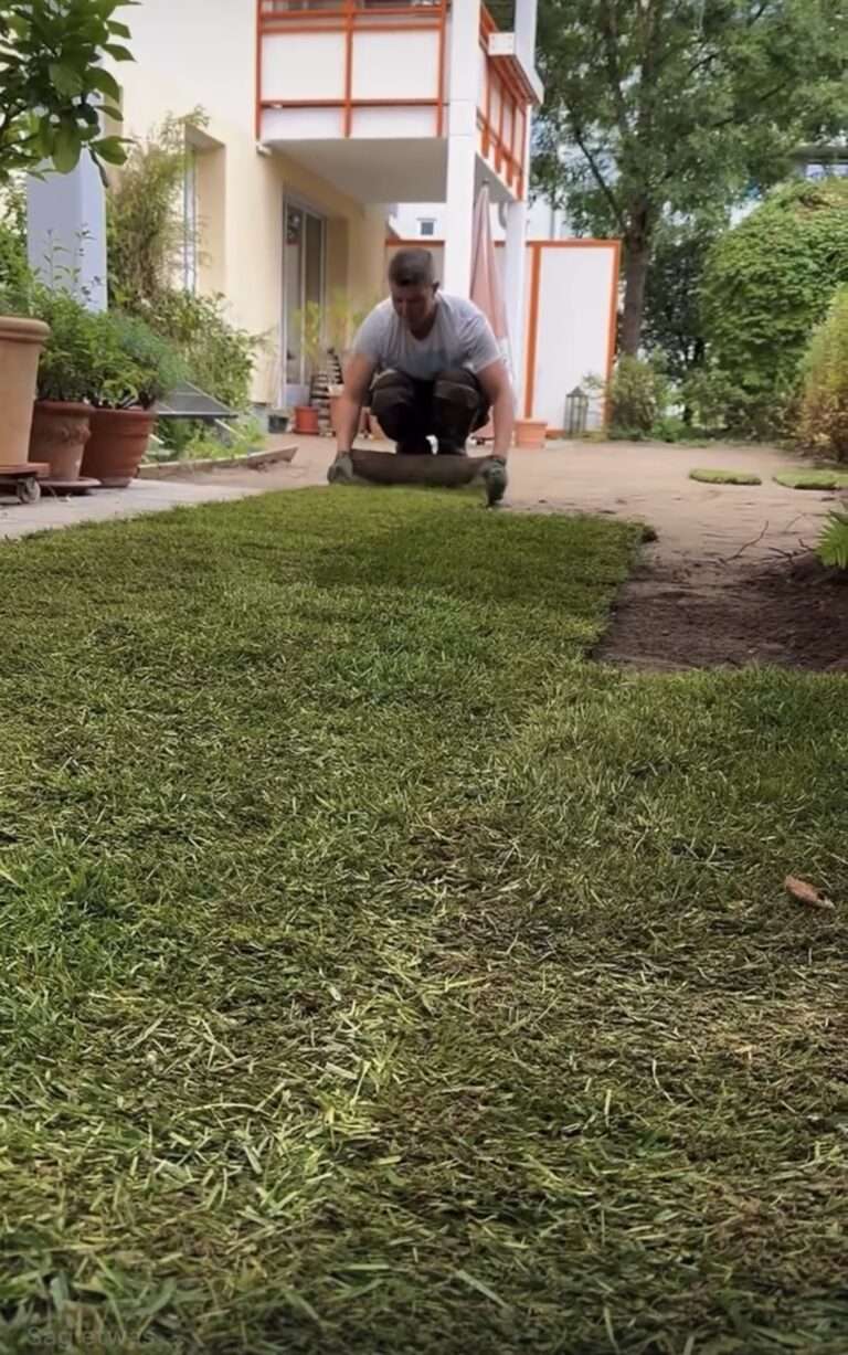 Rollrasenverlegung